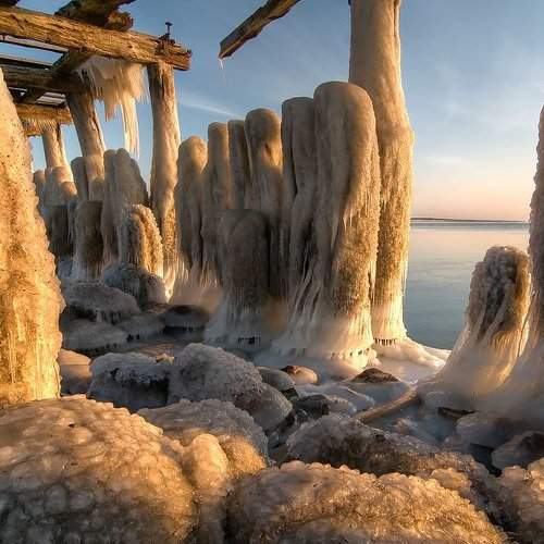 Превью фотографии фотографа Dr.Romualdas