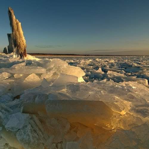 Превью фотографии фотографа Dr.Romualdas