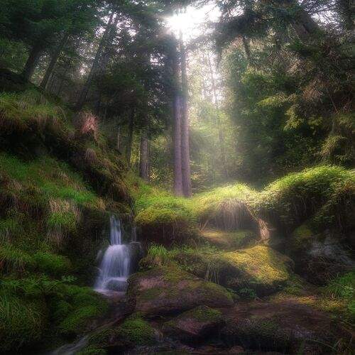 Превью фотографии фотографа Peter Naydenov