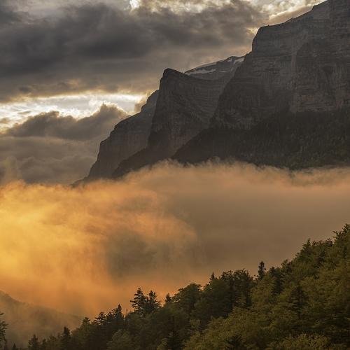 Превью фотографии фотографа Tony Goran