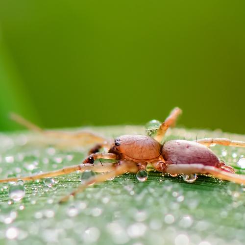 Превью фотографии фотографа Игорь