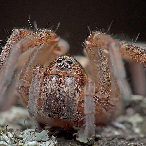 Превью фотографии фотографа Евгений Кирилкин.