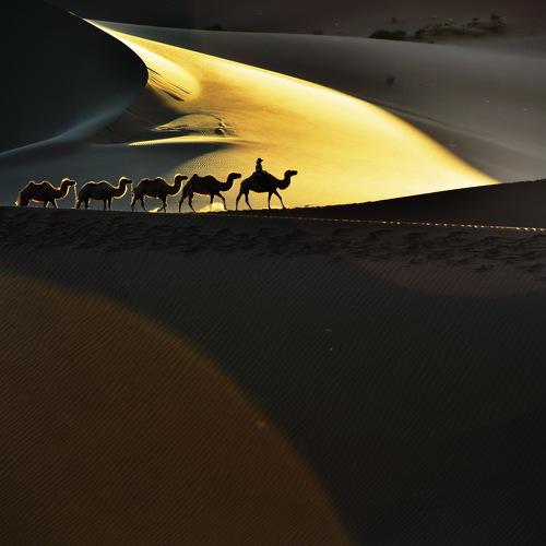 Превью фотографии фотографа Inkol Yu  유인걸