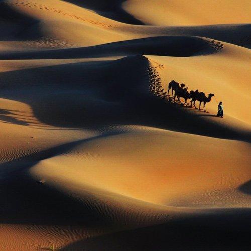 Превью фотографии фотографа Inkol Yu  유인걸