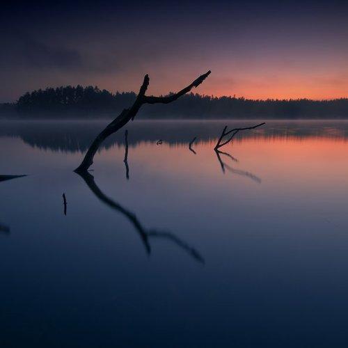 Превью фотографии фотографа Rimantas Bikulcius