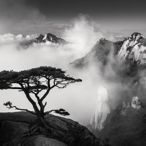 Превью фотографии фотографа Nathaniel Merz