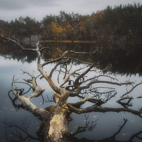 Превью фотографии фотографа Justinas Kondrotas