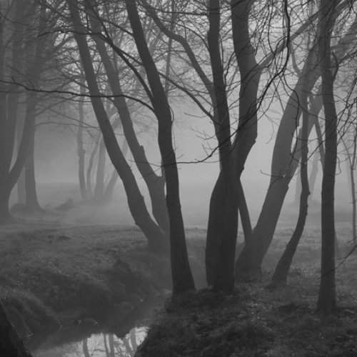 Превью фотографии фотографа Dr.Romualdas