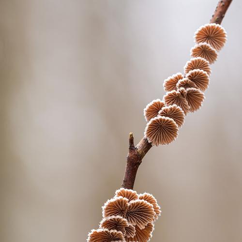 Превью фотографии фотографа Александр Земляной