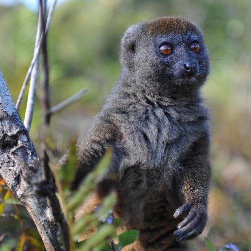 Превью фотографии фотографа Сотсков Николай