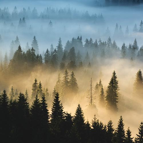 Превью фотографии фотографа Stefan Chirobocea