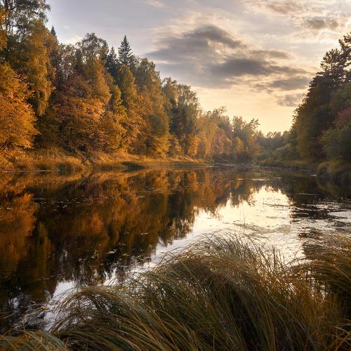 Превью фотографии фотографа Андрей Грибов