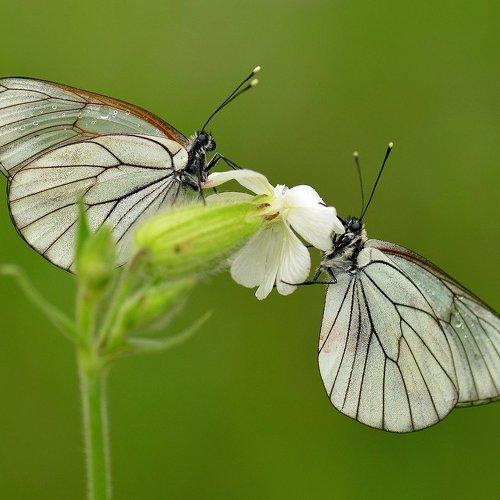 Превью фотографии фотографа Александр Юкарев