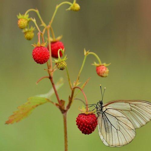 Превью фотографии фотографа Александр Юкарев