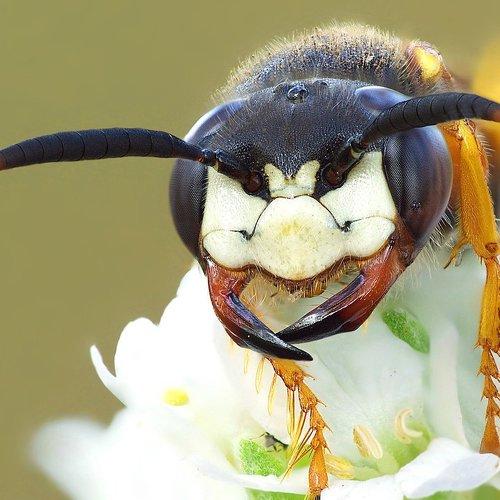 Превью фотографии фотографа don077