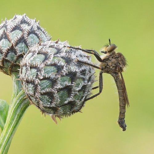 Превью фотографии фотографа don077