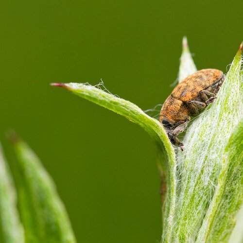 Превью фотографии фотографа vd319