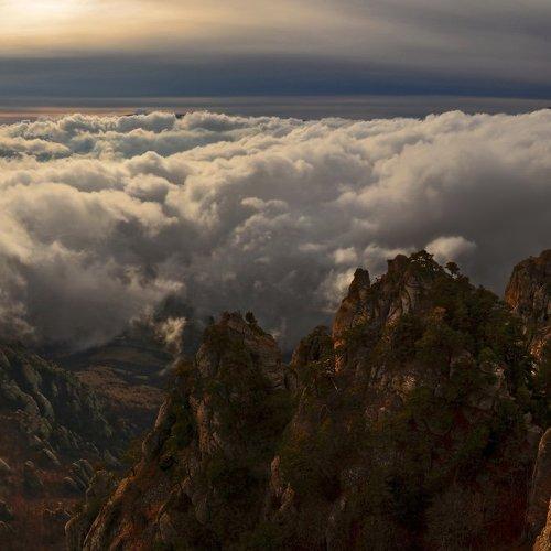 Превью фотографии фотографа Владимир Метцгер