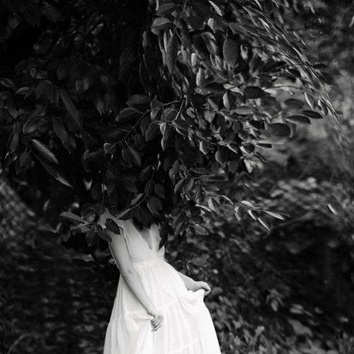 Превью фотографии фотографа Andreea Chiru