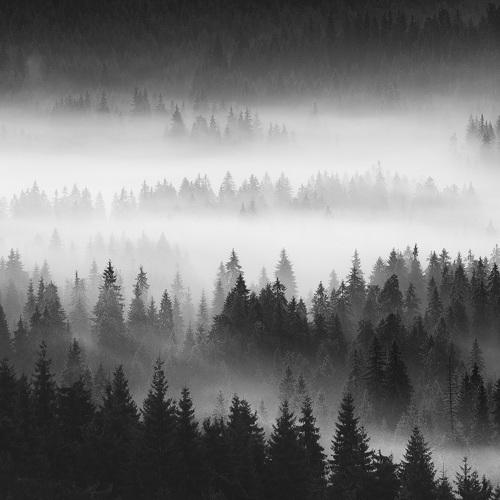 Превью фотографии фотографа Stefan Chirobocea