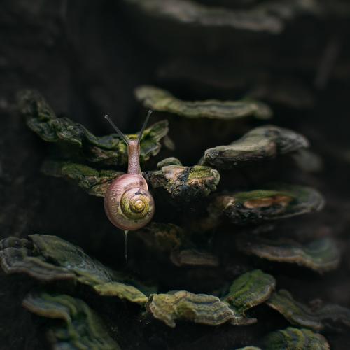 Превью фотографии фотографа Баранов Олег