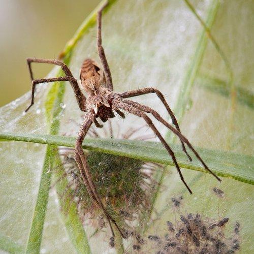 Превью фотографии фотографа Андрей Канышев