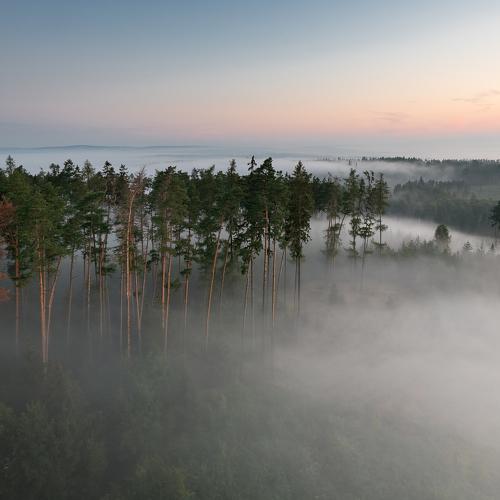 Превью фотографии фотографа Milan Samochin