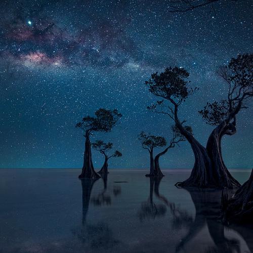 Превью фотографии фотографа suk eun kim