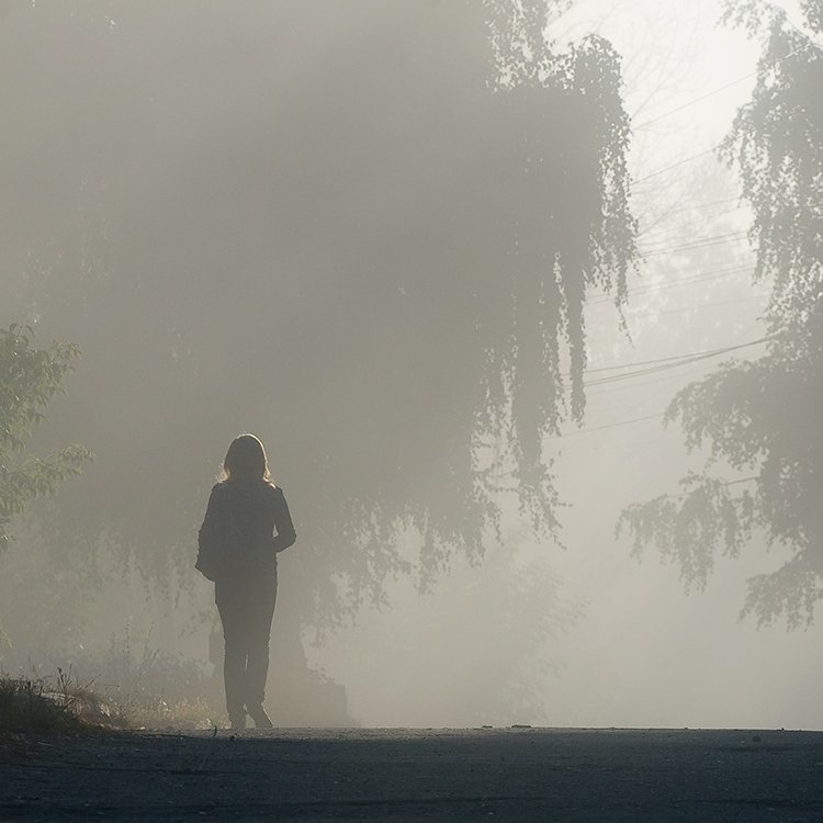 фото в тумане девушка онлайн фото в тумане девушка