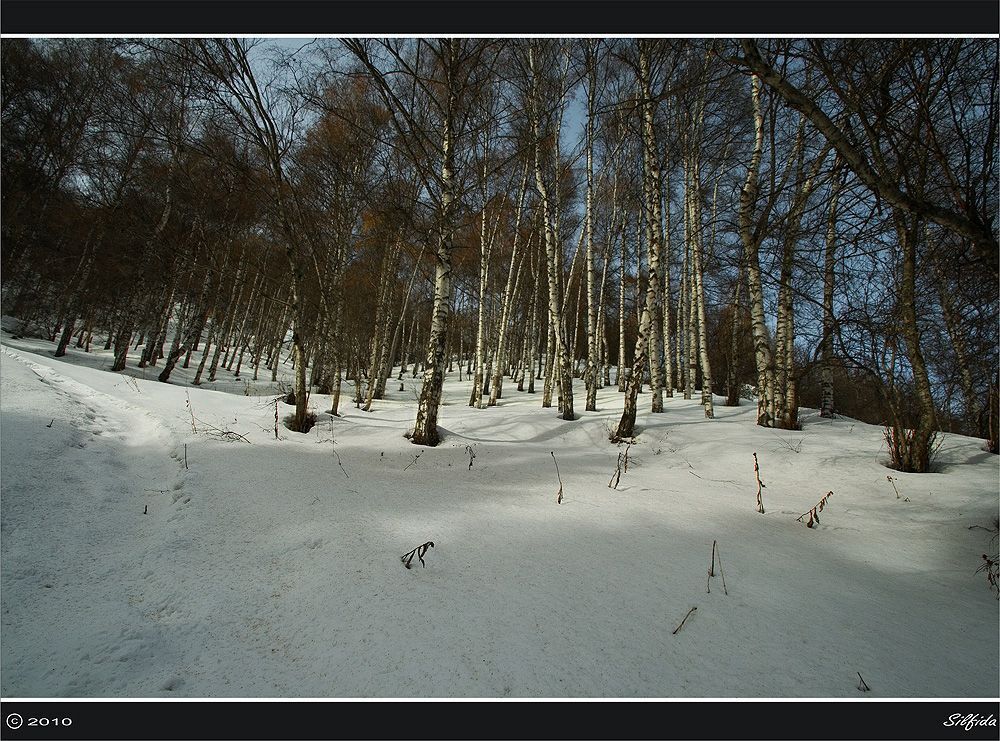 Зима в горах Алатау.