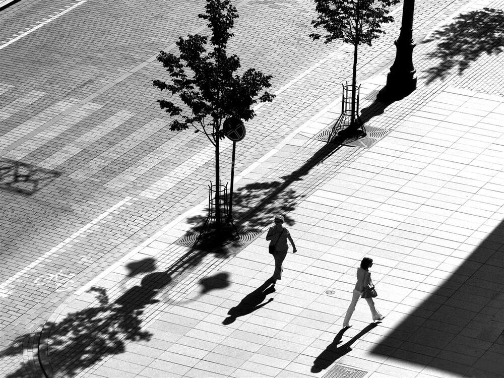 Morning shadows of Vilna
