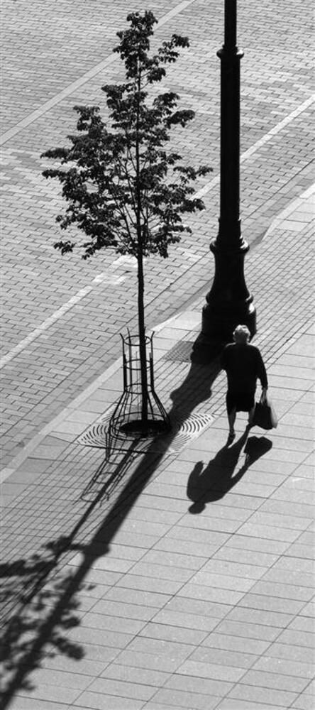 Morning shadows of Vilna
