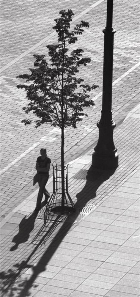 Morning shadows of Vilna