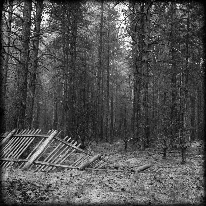 wood...