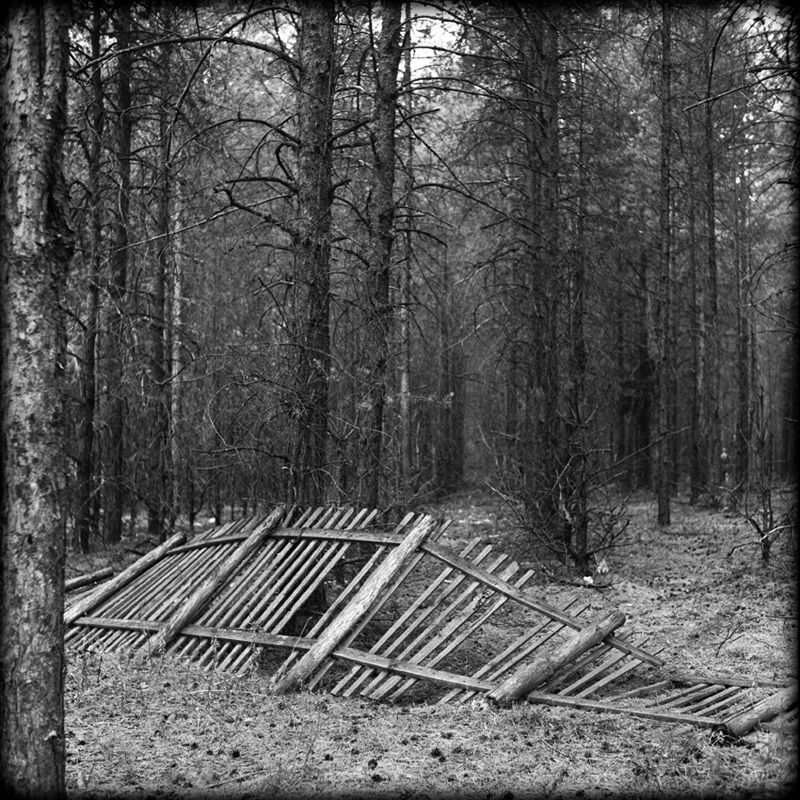 wood...