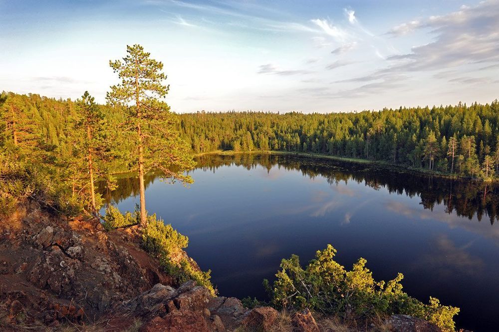 Карельские мотивы...