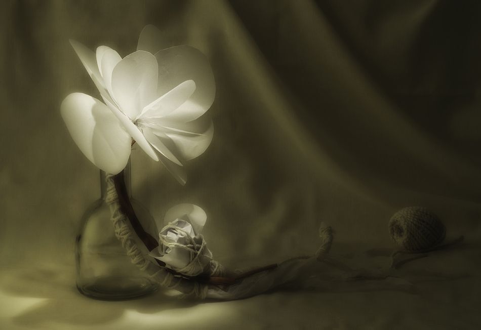 Wood - Paper - Flower