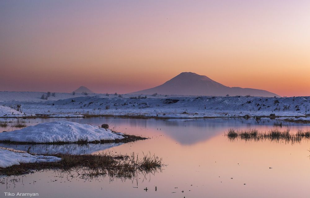 Ararat