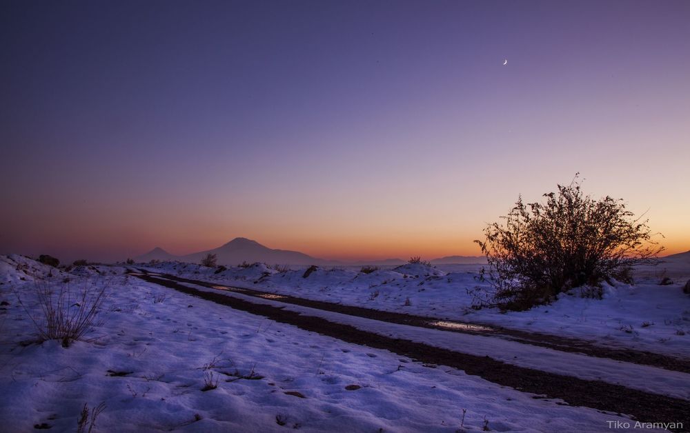 Ararat