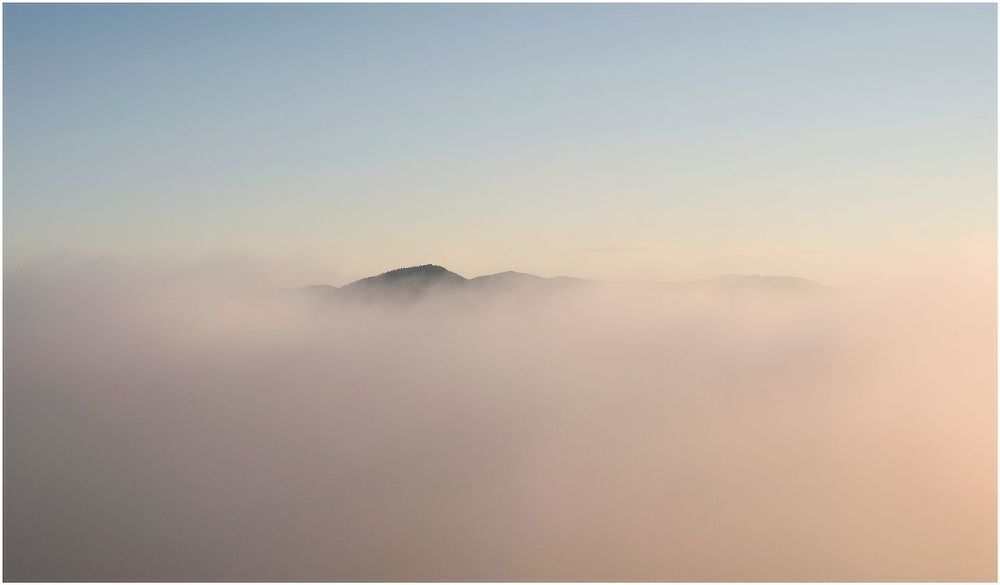 Conceptual pictures of nature