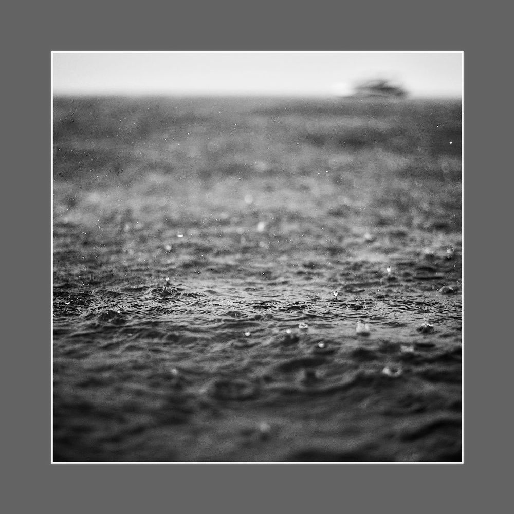 Conceptual pictures of nature