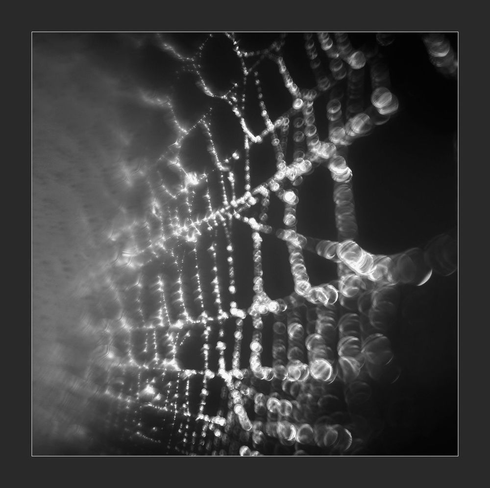 Conceptual pictures of nature