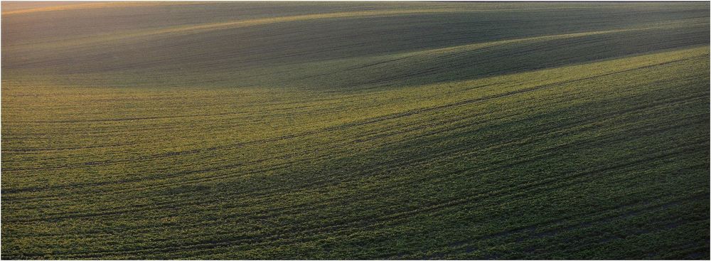 Conceptual pictures of nature