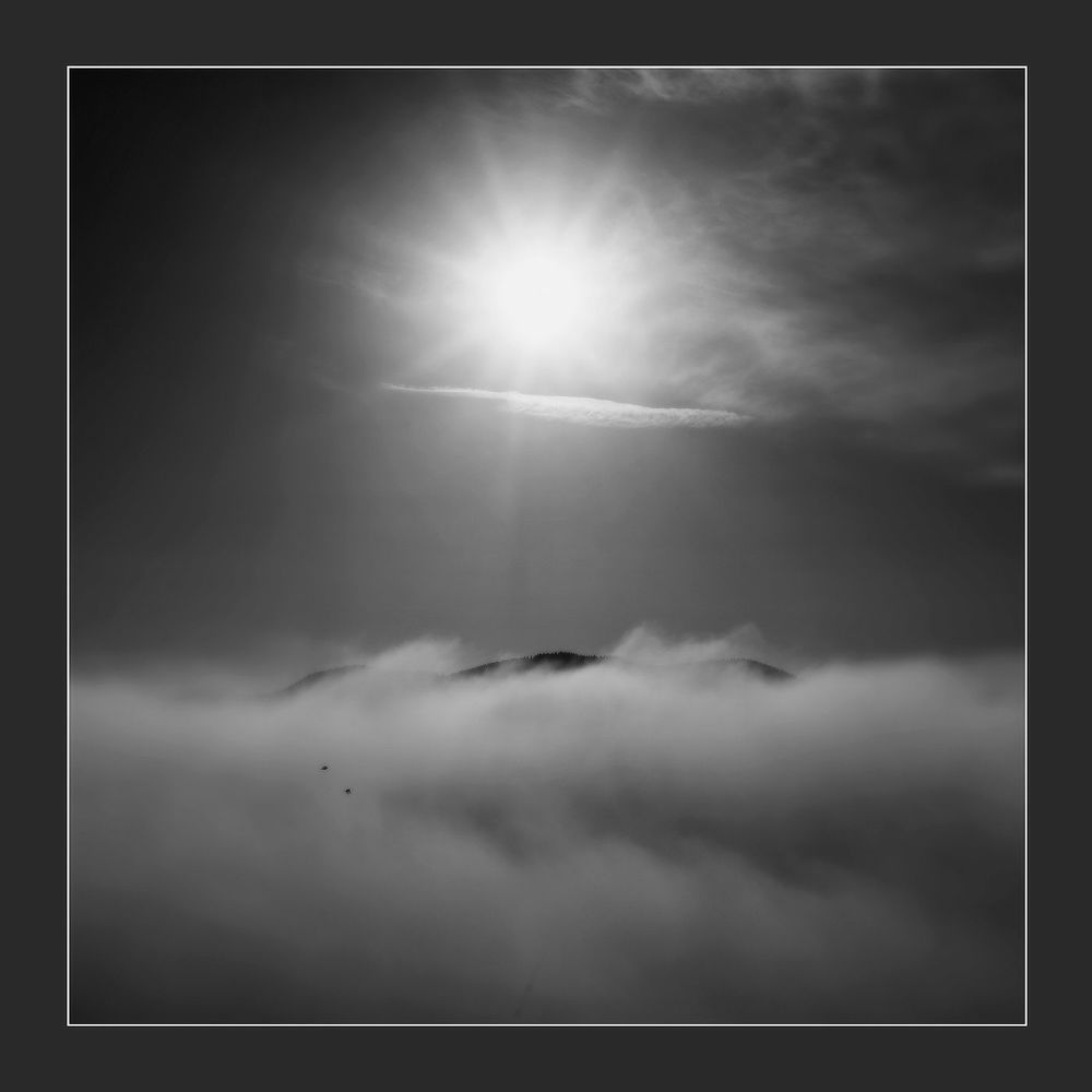 Conceptual pictures of nature