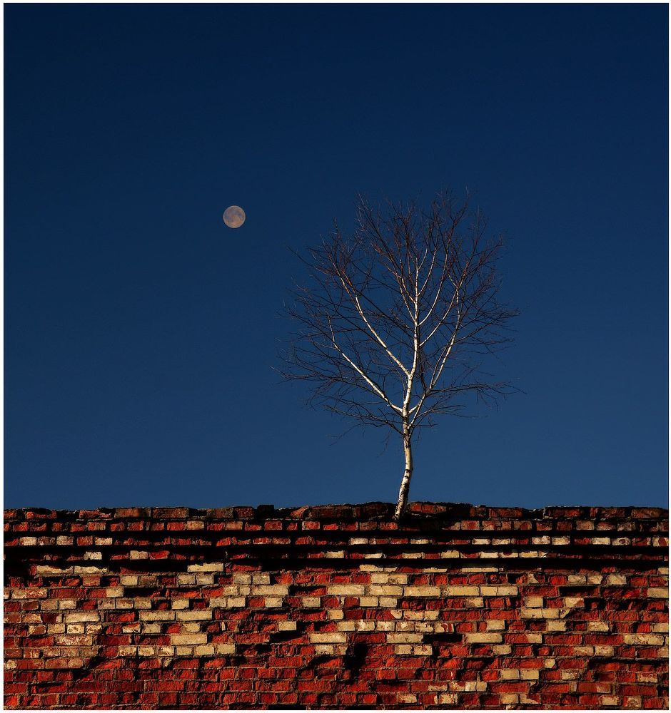 Conceptual pictures of nature