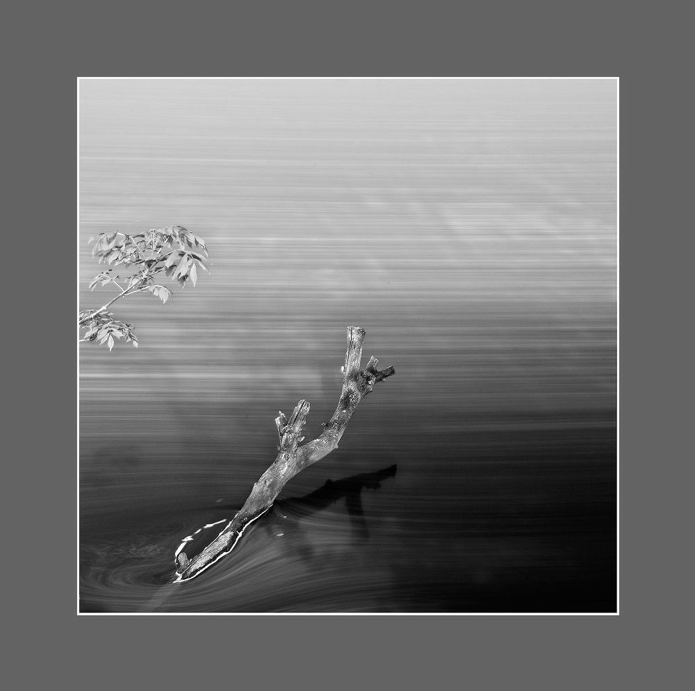 Conceptual pictures of nature