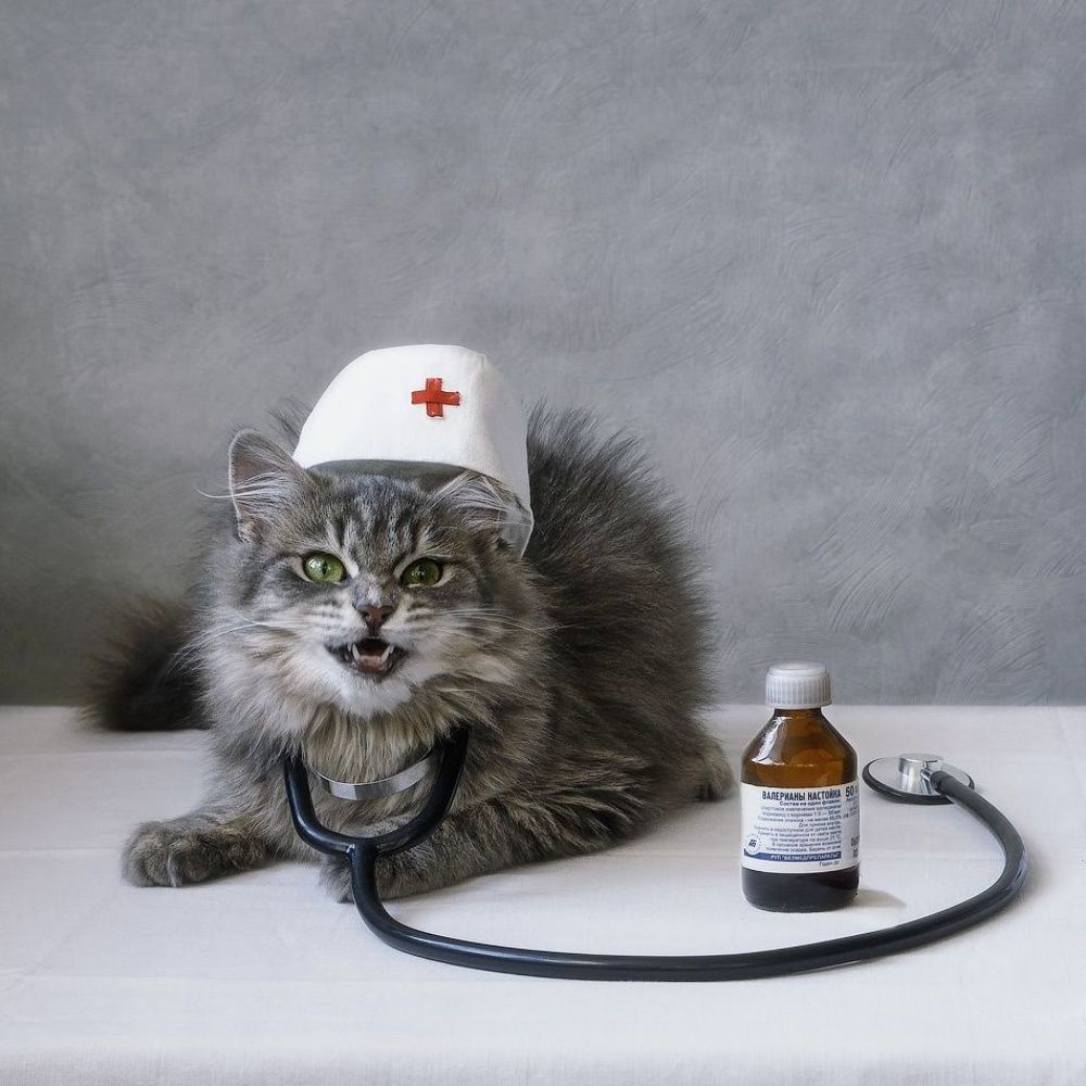 - Прием окончен!