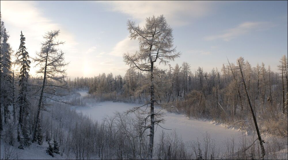 И снова зима
