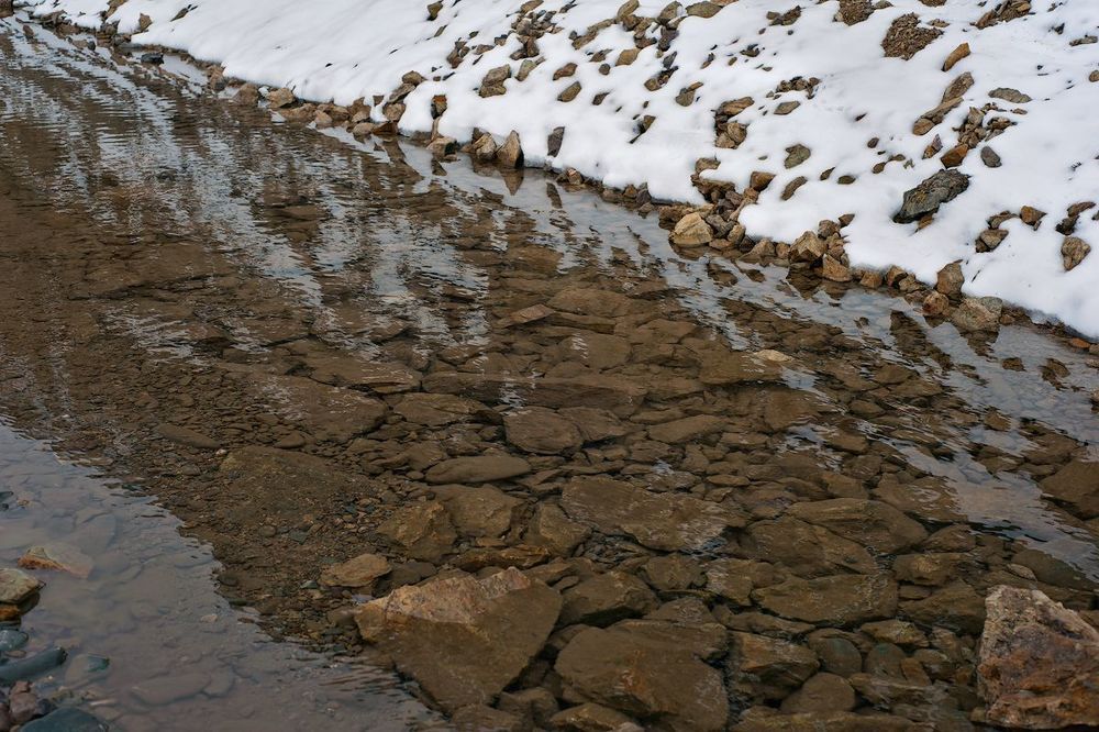 04 Обычная лужа порадовала прозрачностью воды