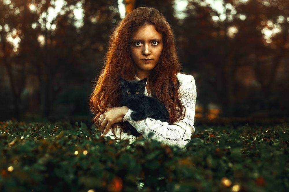 Черный кот